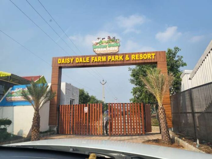 Discover Daisy Dale Farm Park: The Best New Family Destination in ...